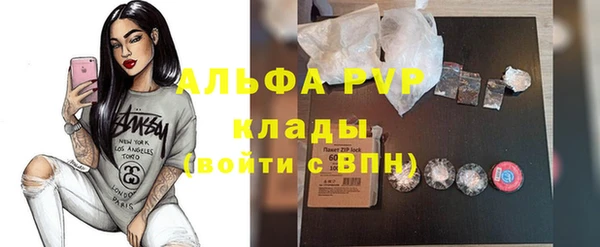 шишки Саяногорск