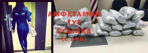 шишки Саяногорск