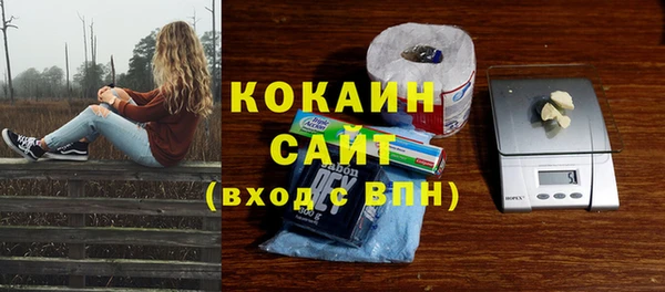 мяу мяу мука Сафоново