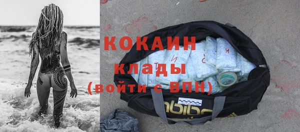 шишки Саяногорск