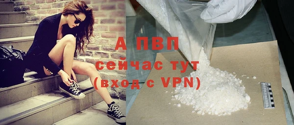 шишки Саяногорск