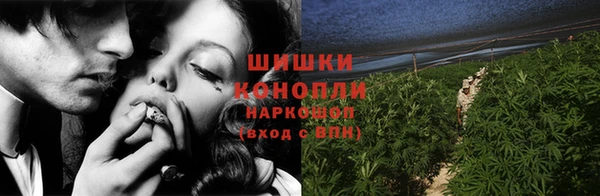 шишки Саяногорск