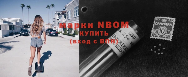 шишки Саяногорск